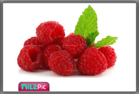 نیلزپیک: تصویر باکیفیت تمشک قرمز