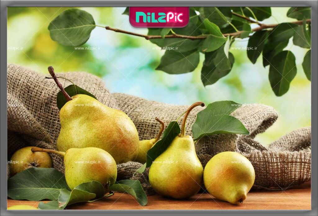 عکس تبلیغاتی و باکیفیت گلابی