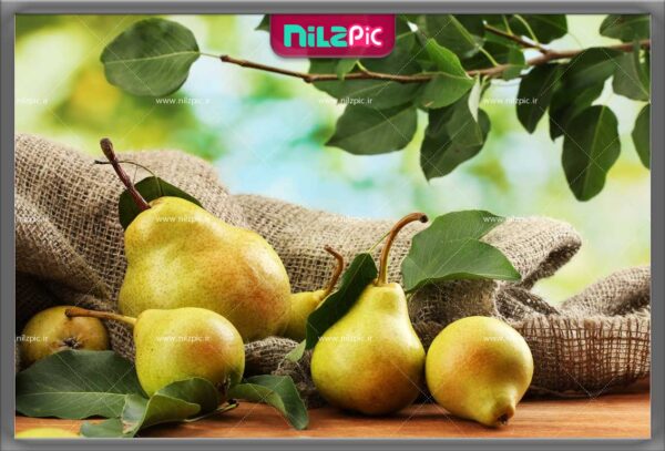 عکس تبلیغاتی و باکیفیت گلابی